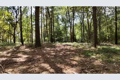 Tbd Cherokee Trail, Lovelady, TX 77851 - Photo 8