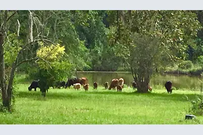 00002 Nelson Road, Hempstead, TX 77445 - Photo 20