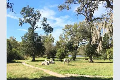 00002 Nelson Road, Hempstead, TX 77445 - Photo 12