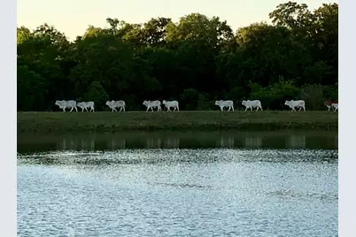 00002 Nelson Road, Hempstead, TX 77445 - Photo 16