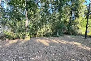 0 Kickapoo Trail, Willis, TX 77378 - Photo 1