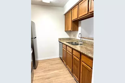2120 El Paseo Street #303, Houston, TX 77054 - Photo 6