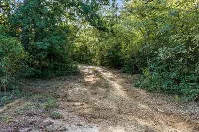 5209 Bucksnort Road, Franklin, TX 77856 - Photo 28