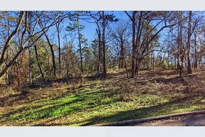 Lots 81 & 82 Lake Oaks Circle, Coldspring, TX 77331 - Photo 4