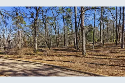 Lots 81 & 82 Lake Oaks Circle, Coldspring, TX 77331 - Photo 26