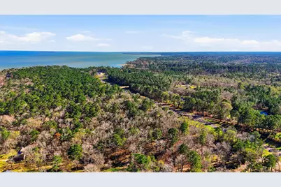 Lots 81 & 82 Lake Oaks Circle, Coldspring, TX 77331 - Photo 6