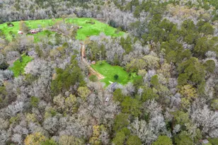 17868 Dogwood Dr, Conroe, TX 77303 - Photo 38