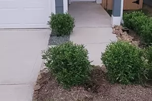 3566 Blue Mockingbird St, Katy, TX 77494 - Photo 2