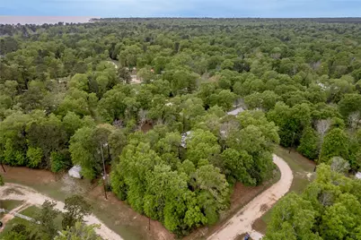 Lt 194 Evergreen, Livingston, TX 77351 - Photo 18
