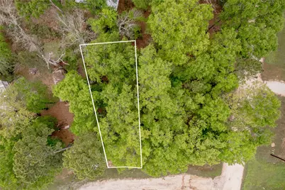 Lt 194 Evergreen, Livingston, TX 77351 - Photo 2