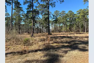 Tbd28 Private Road 6028, Brookeland, TX 75931 - Photo 10