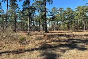 Tbd28 Private Road 6028, Brookeland, TX 75931 - Photo 10