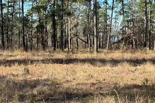 Tbd28 Private Road 6028, Brookeland, TX 75931 - Photo 4