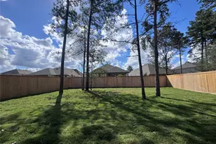 26783 Frontier Trace Drive, Montgomery, TX 77316 - Photo 6