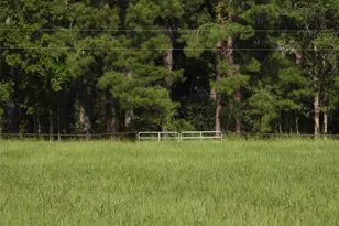 18855 Bethel Rd, Richards, TX 77873 - Photo 2