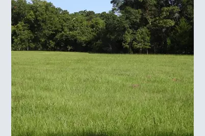 18855 Bethel Rd, Richards, TX 77873 - Photo 4