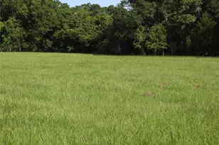 18855 Bethel Rd, Richards, TX 77873 - Photo 4