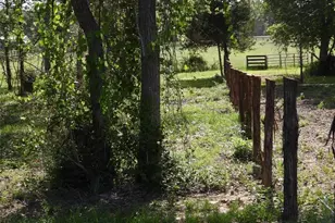 18855 Bethel Rd, Richards, TX 77873 - Photo 6