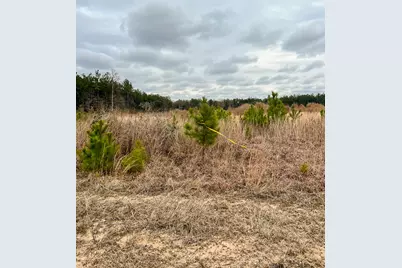 3A Hardin Hideout Rd, Moscow, TX 75960 - Photo 12