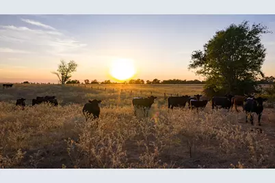 T-5 Providence Road, Calvert, TX 77837 - Photo 36