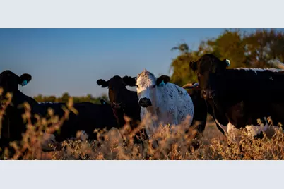 T-5 Providence Road, Calvert, TX 77837 - Photo 32