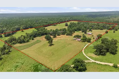 931 Private Road 5140, Grapeland, TX 75844 - Photo 2