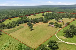 931 Private Rd 5140, Grapeland, TX 75844 - Photo 2