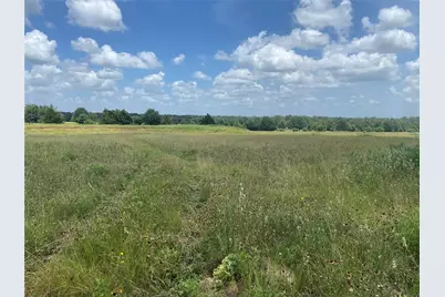 10779 Whiterock Road, Bremond, TX 76629 - Photo 12