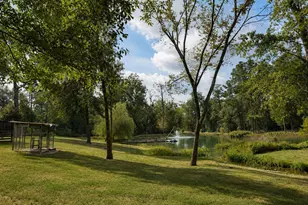 903 S Houston Ave, Livingston, TX 77351 - Photo 4