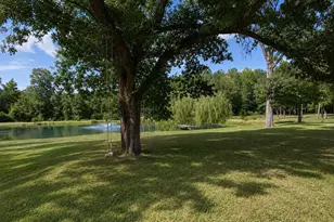 903 S Houston Ave, Livingston, TX 77351 - Photo 6
