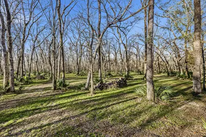 116 Natures Way Road, Huntsville, TX 77340 - Photo 42