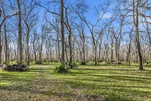 116 Natures Way Rd, Huntsville, TX 77340 - Photo 38