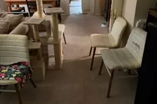 2513 Hazard St, Houston, TX 77019 - Photo 10