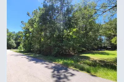 0 Hickory Drive, Montgomery, TX 77356 - Photo 4