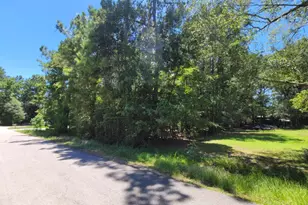 0 Hickory Dr, Montgomery, TX 77356 - Photo 4