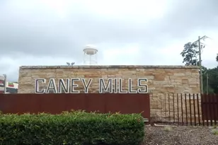 14499 Sunny Bnd Wy, Conroe, TX 77303 - Photo 6