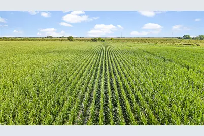 00 Cr 311, Louise, TX 77455 - Photo 2