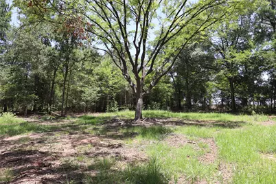 13774 Midway Drive, Willis, TX 77318 - Photo 2