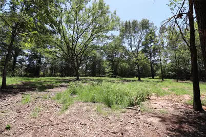 13774 Midway Drive, Willis, TX 77318 - Photo 4
