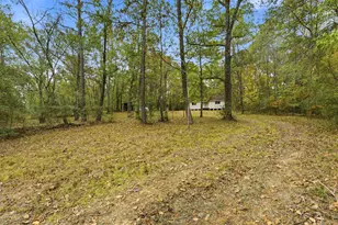 55 Dipping Vat Rd, New Waverly, TX 77358 - Photo 2