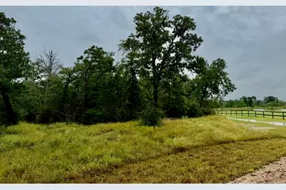 195 Sadie Lane, Round Top, TX 78954 - Photo 6