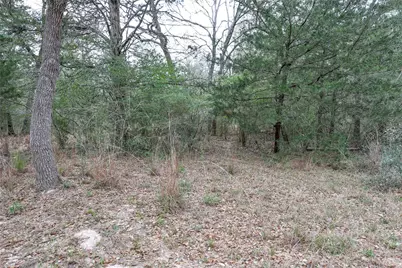 Tbd Cr 132, Hallettsville, TX 77964 - Photo 12