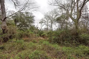 Tbd Cr 132, Hallettsville, TX 77964 - Photo 14