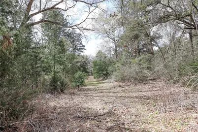 Tbd Cr 132, Hallettsville, TX 77964 - Photo 6