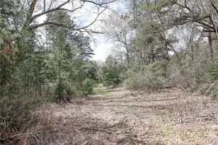 Tbd Cr 132, Hallettsville, TX 77964 - Photo 6