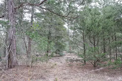 Tbd Cr 132, Hallettsville, TX 77964 - Photo 16