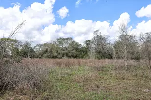 Tbd Cr 132, Hallettsville, TX 77964 - Photo 10