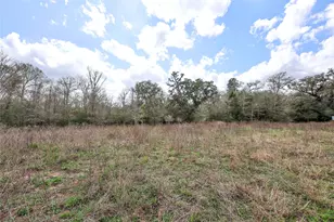 Tbd Cr 132, Hallettsville, TX 77964 - Photo 4