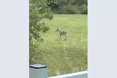 540 Bayou Avenue, Anahuac, TX 77514 - Photo 32