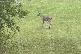 540 Bayou Ave, Anahuac, TX 77514 - Photo 32